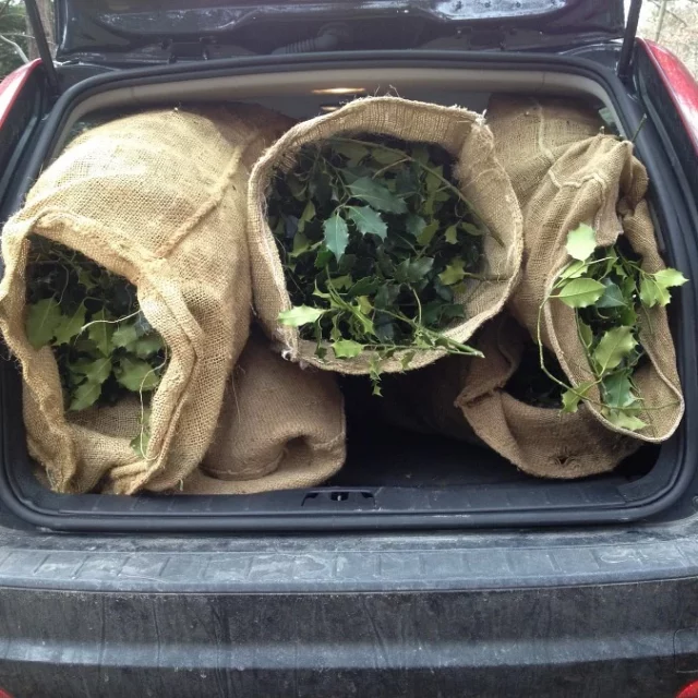 Palmsonntag