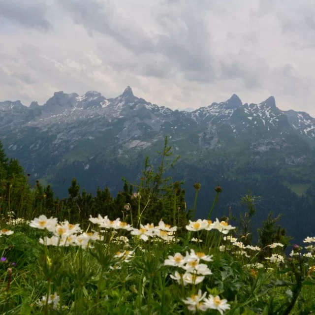 Sommerlager