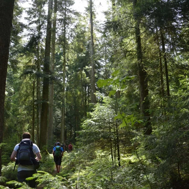 Sommerlager